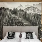 Gorskie Zacisze * Zakopane