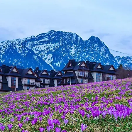 Gorskie Zacisze Zakopane
